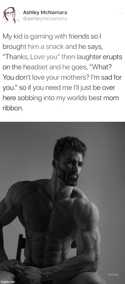 Giga Chad | image tagged in giga chad,gaming,mom | made w/ Imgflip meme maker