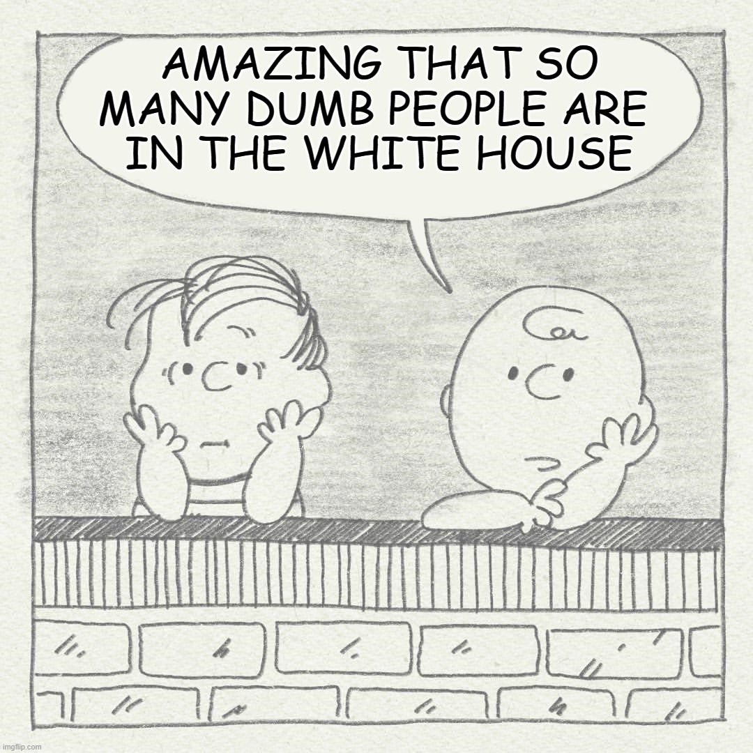Peanuts | AMAZING THAT SO MANY DUMB PEOPLE ARE 
IN THE WHITE HOUSE | image tagged in peanuts,politics | made w/ Imgflip meme maker