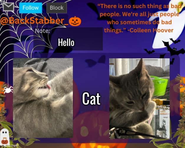 Cat | Hello; Cat | image tagged in backstabbers_ halloween temp | made w/ Imgflip meme maker