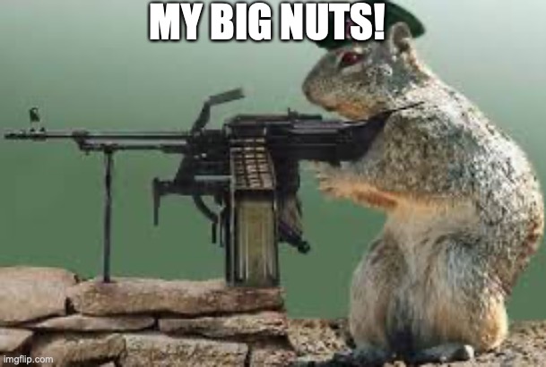Dank squirl | MY BIG NUTS! | image tagged in dank squirl | made w/ Imgflip meme maker