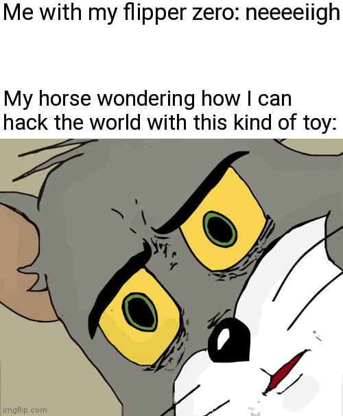 He's flipped | Me with my flipper zero: neeeeiigh; My horse wondering how I can hack the world with this kind of toy: | image tagged in memes,unsettled tom,flipper zero | made w/ Imgflip meme maker