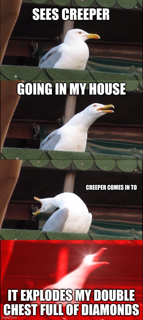 Inhaling Seagull | SEES CREEPER; GOING IN MY HOUSE; CREEPER COMES IN TO; IT EXPLODES MY DOUBLE CHEST FULL OF DIAMONDS | image tagged in memes,inhaling seagull | made w/ Imgflip meme maker