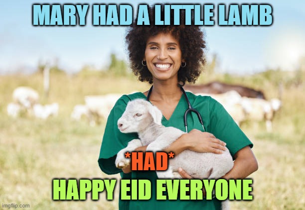 The story ended quickly | MARY HAD A LITTLE LAMB; HAPPY EID EVERYONE; *HAD* | image tagged in mary had a little lamb,memes,eid | made w/ Imgflip meme maker