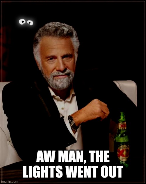 Uh oh | AW MAN, THE LIGHTS WENT OUT | image tagged in memes,the most interesting man in the world | made w/ Imgflip meme maker