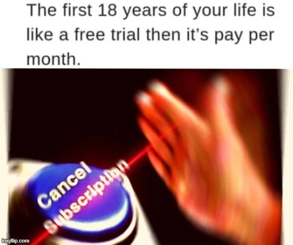 image tagged in memes | made w/ Imgflip meme maker