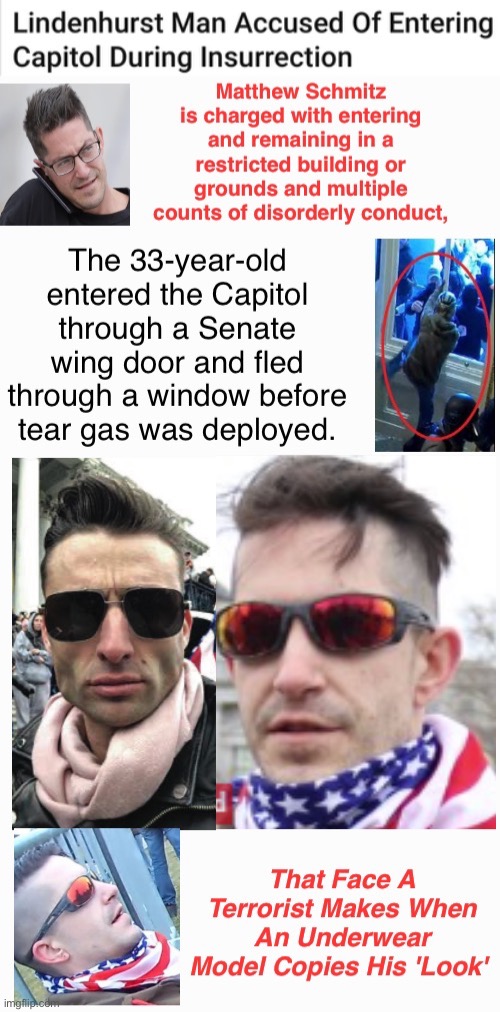 That Face He Made... | image tagged in mirror mirror with a shawl,domestic terrorist,treason,traitor,he's got the cook | made w/ Imgflip meme maker