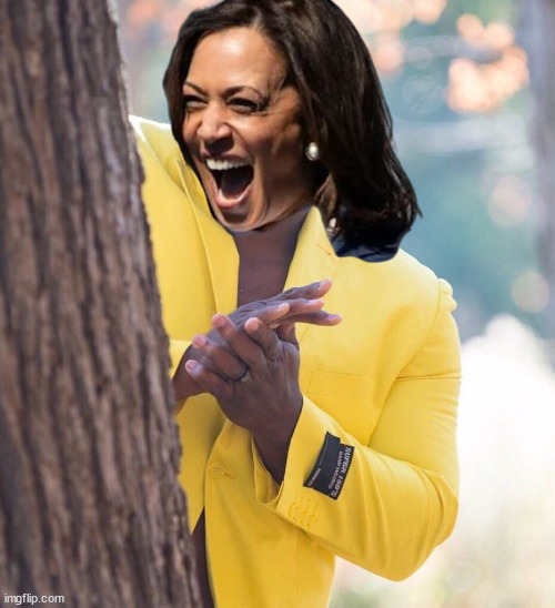 Black guy hiding behind tree | image tagged in black guy hiding behind tree | made w/ Imgflip meme maker