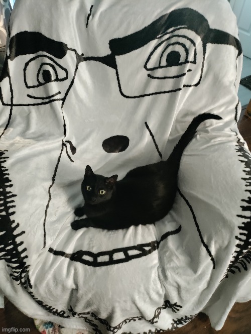 soypillow | made w/ Imgflip meme maker