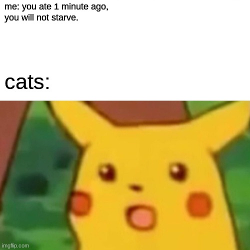 Surprised Pikachu | me: you ate 1 minute ago, 
you will not starve. cats: | image tagged in memes,surprised pikachu | made w/ Imgflip meme maker
