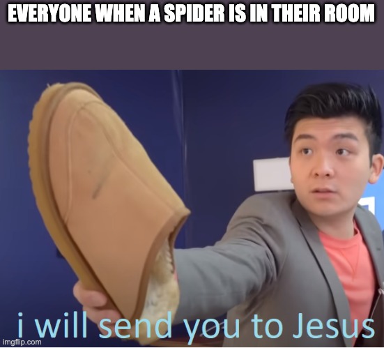 I will send you to Jesus | EVERYONE WHEN A SPIDER IS IN THEIR ROOM | image tagged in i will send you to jesus | made w/ Imgflip meme maker