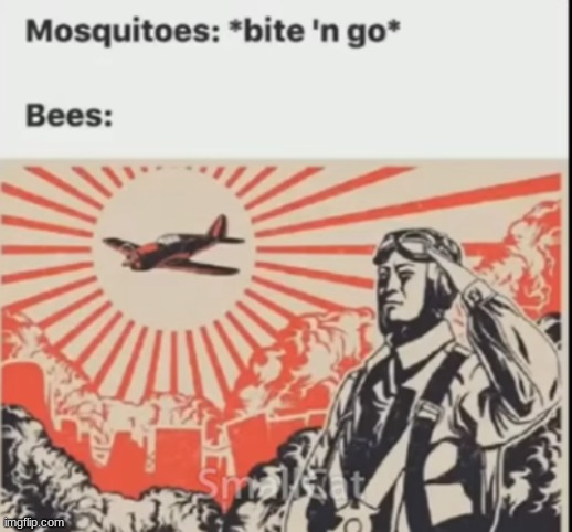 Bees | image tagged in shitpost,msmg,oh wow are you actually reading these tags,you have been eternally cursed for reading the tags | made w/ Imgflip meme maker