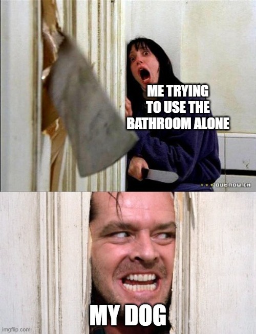 Image title? | ME TRYING TO USE THE BATHROOM ALONE; MY DOG | image tagged in here's johnny | made w/ Imgflip meme maker