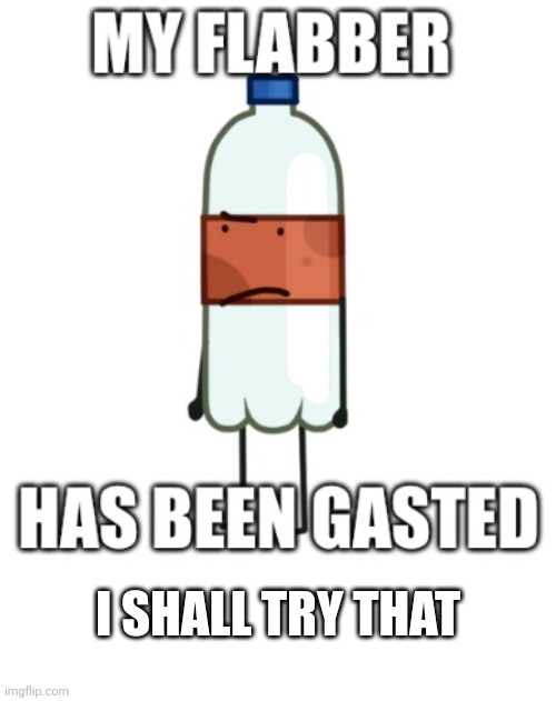 my flabber has been gasted | I SHALL TRY THAT | image tagged in my flabber has been gasted | made w/ Imgflip meme maker