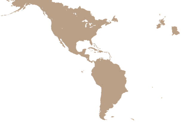 polotno 56 Blank Meme Template