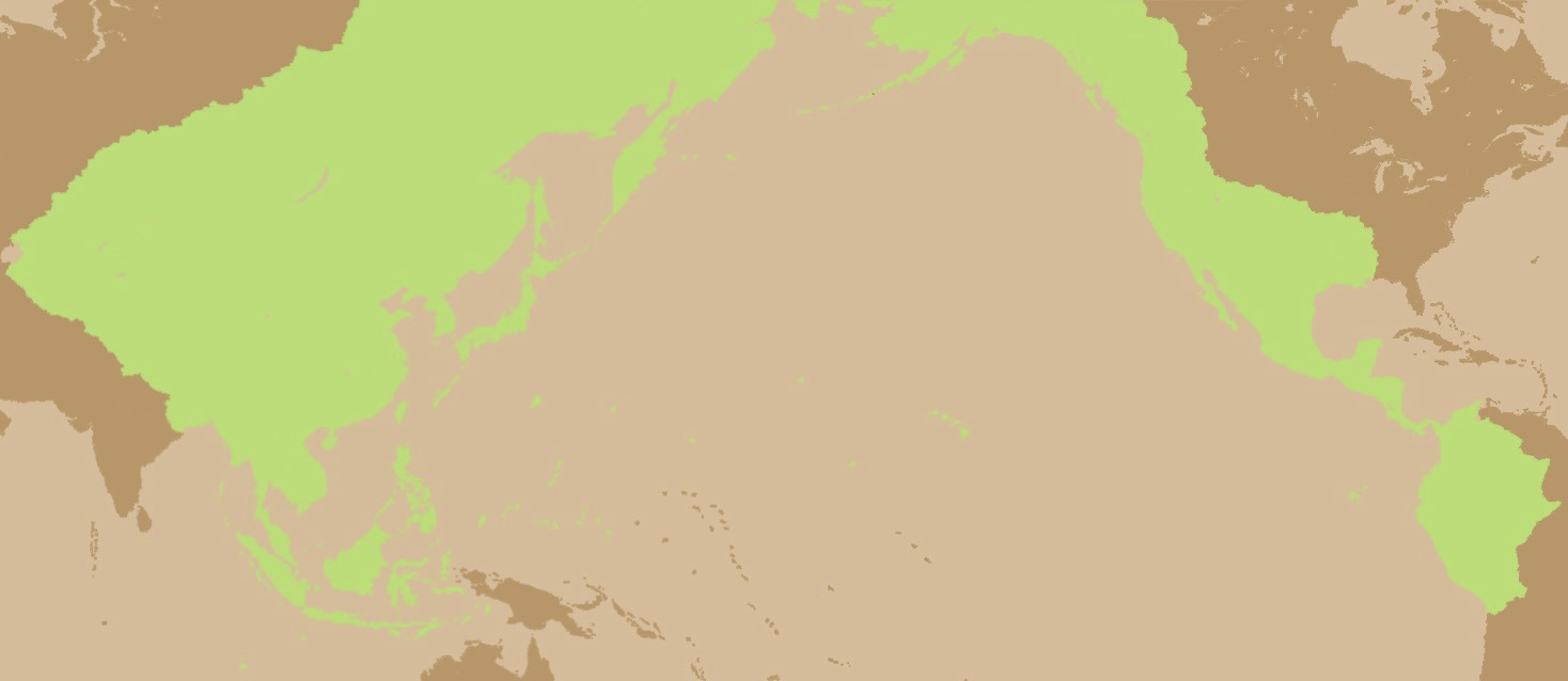 polotno 58 Blank Meme Template