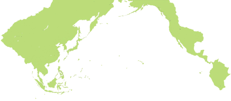 polotno 58 Blank Meme Template