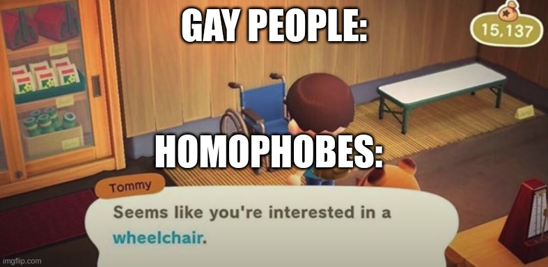 Seems like you're interested in a wheelchair | GAY PEOPLE:; HOMOPHOBES: | image tagged in seems like you're interested in a wheelchair | made w/ Imgflip meme maker