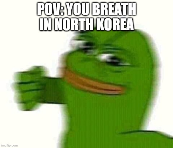 Pepe the frog punching | POV: YOU BREATH IN NORTH KOREA | image tagged in pepe the frog punching | made w/ Imgflip meme maker
