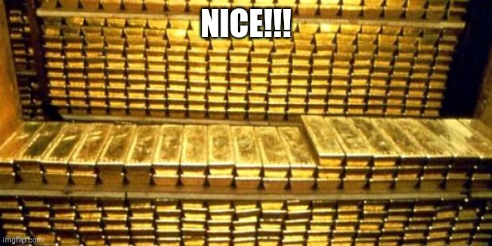 gold bars | NICE!!! | image tagged in gold bars | made w/ Imgflip meme maker