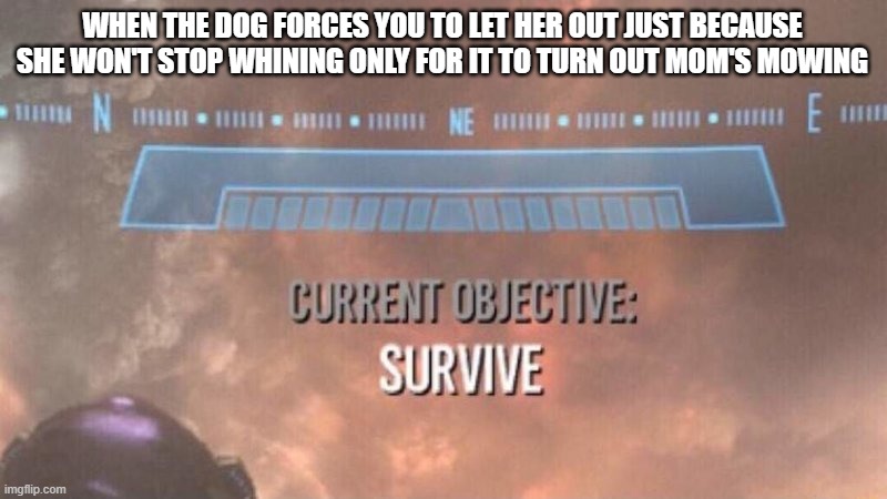 Enough said indeed | WHEN THE DOG FORCES YOU TO LET HER OUT JUST BECAUSE SHE WON'T STOP WHINING ONLY FOR IT TO TURN OUT MOM'S MOWING | image tagged in current objective survive,memes,relatable,scumbag,enough said | made w/ Imgflip meme maker