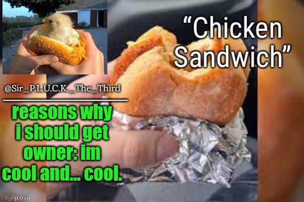 Chicken sandwich (thanks behapp) | reasons why i should get owner: im cool and... cool. | image tagged in chicken sandwich thanks behapp | made w/ Imgflip meme maker
