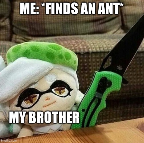 Ant | ME: *FINDS AN ANT*; MY BROTHER | image tagged in marie plush with a knife | made w/ Imgflip meme maker