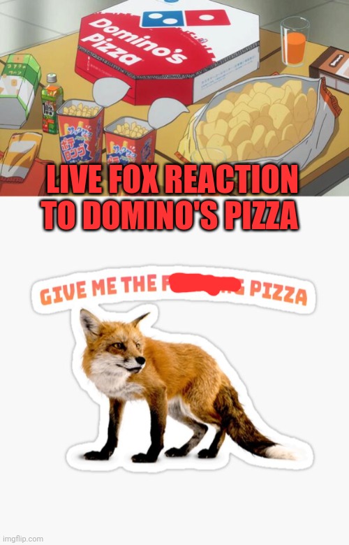 Important fox memes | LIVE FOX REACTION TO DOMINO'S PIZZA | image tagged in important,fox,so true memes | made w/ Imgflip meme maker