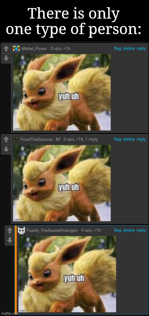 There is only one type of person: | image tagged in flareon | made w/ Imgflip meme maker