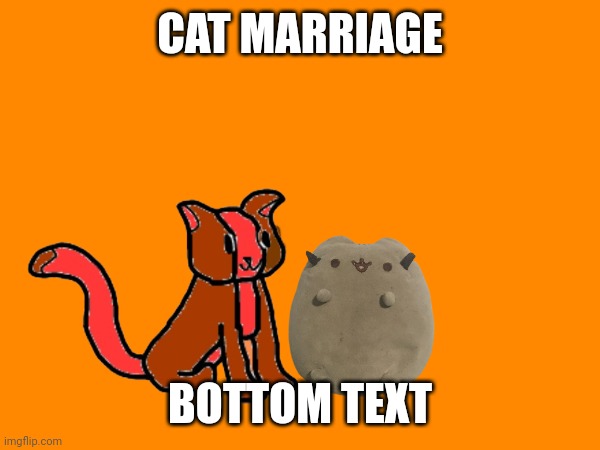 Larry proposed so now they getting married | CAT MARRIAGE; BOTTOM TEXT | made w/ Imgflip meme maker