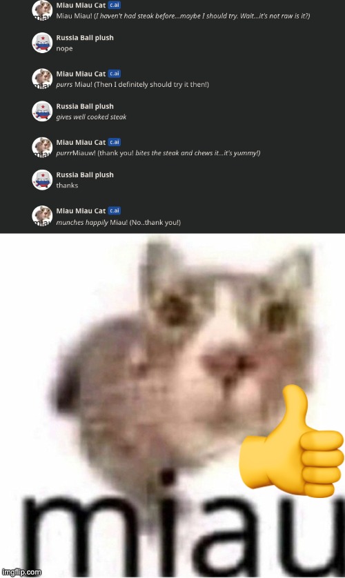 that was wholesome | image tagged in miau | made w/ Imgflip meme maker