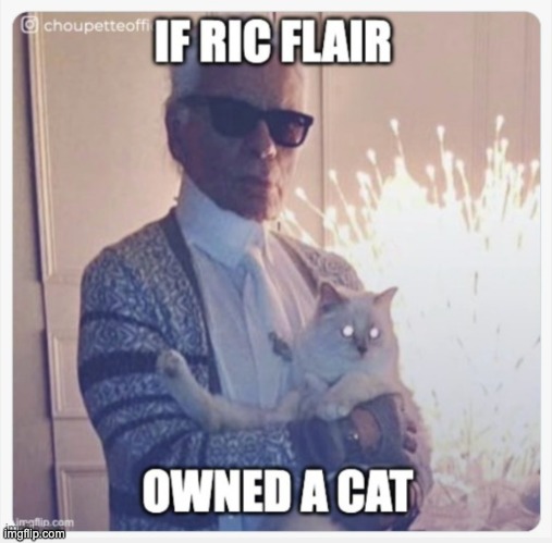 Cat Flair | image tagged in wrestling,cat,funny,meme,memes | made w/ Imgflip meme maker