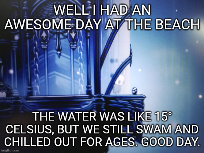 It was nice | WELL I HAD AN AWESOME DAY AT THE BEACH; THE WATER WAS LIKE 15° CELSIUS, BUT WE STILL SWAM AND CHILLED OUT FOR AGES. GOOD DAY. | image tagged in hollow knight can't reach geo | made w/ Imgflip meme maker