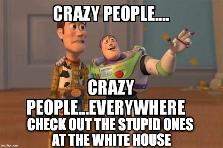 CHECK OUT THE STUPID ONES 
AT THE WHITE HOUSE | made w/ Imgflip meme maker