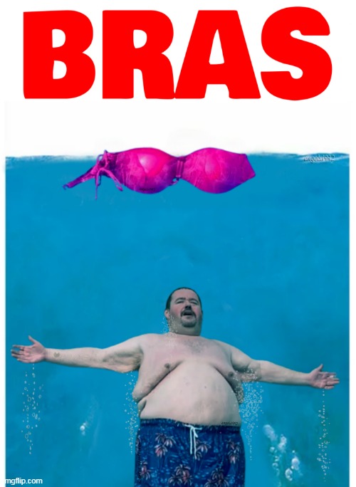 image tagged in bra,movies,moobs,jaws,horror movies,shark | made w/ Imgflip meme maker