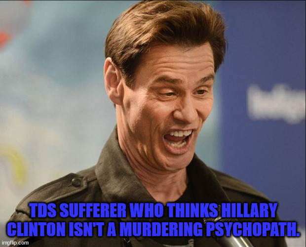 DERRRP! | TDS SUFFERER WHO THINKS HILLARY CLINTON ISN'T A MURDERING PSYCHOPATH. | image tagged in derrrp | made w/ Imgflip meme maker