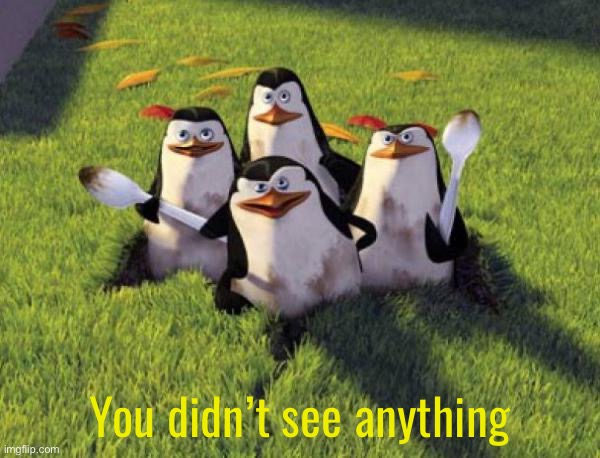 Madagascar Penguins | You didn’t see anything | image tagged in madagascar penguins | made w/ Imgflip meme maker