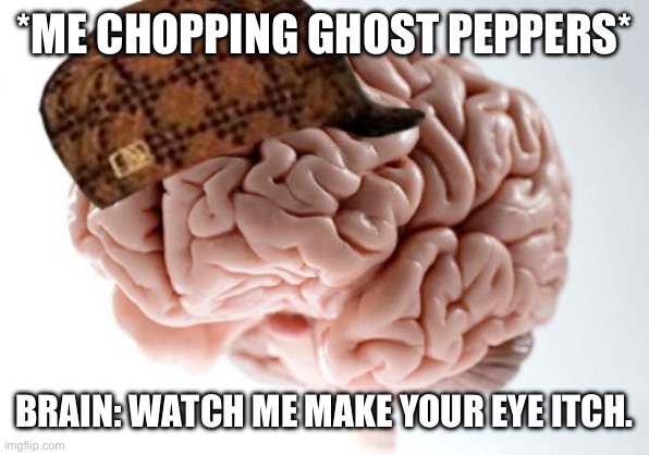 *rubs eye, screaming* | *ME CHOPPING GHOST PEPPERS*; BRAIN: WATCH ME MAKE YOUR EYE ITCH. | image tagged in memes,scumbag brain | made w/ Imgflip meme maker