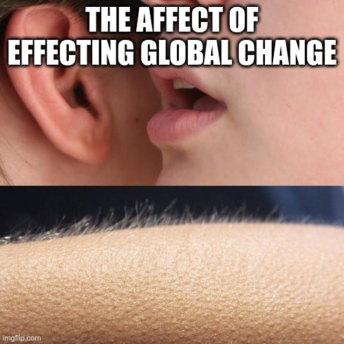 Whisper and Goosebumps | THE AFFECT OF EFFECTING GLOBAL CHANGE | image tagged in whisper and goosebumps | made w/ Imgflip meme maker