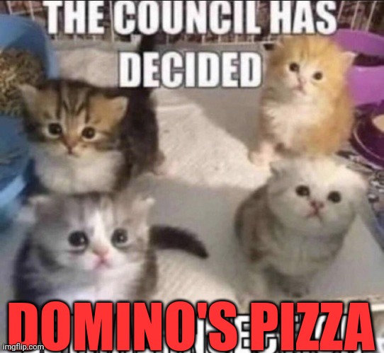 Pizza facts | DOMINO'S PIZZA | image tagged in the council has decided lethal injection,pizza,facts | made w/ Imgflip meme maker
