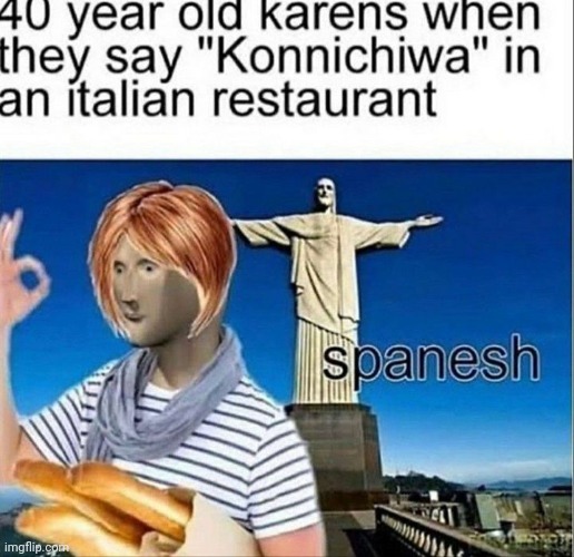 Congratulations, you're stupid in 4 languages | image tagged in karen,language,idiot | made w/ Imgflip meme maker