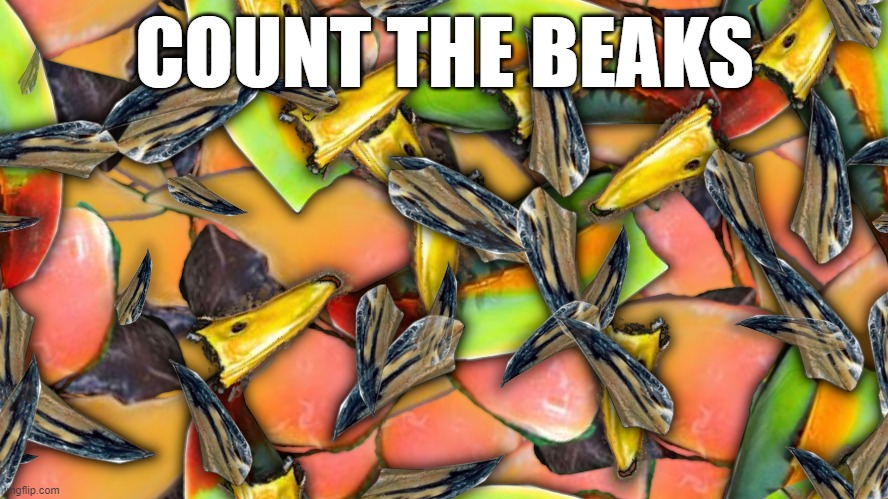 this will 'beak' my last post for a while...now if i just had some juice | COUNT THE BEAKS | image tagged in beak,more beaks,way more beaks | made w/ Imgflip meme maker