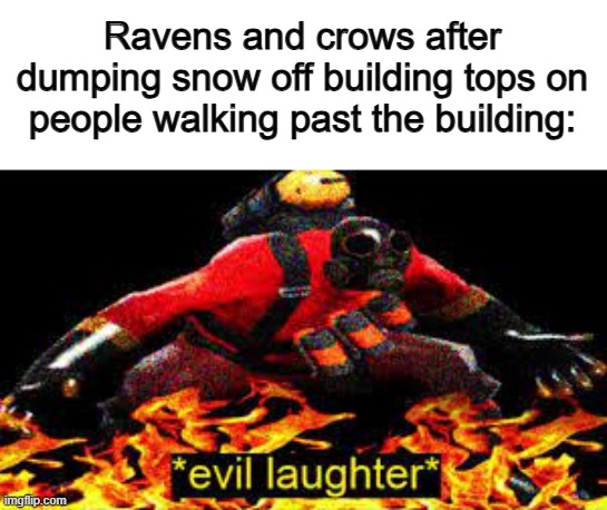 I've seen this happen lots -_- | Ravens and crows after dumping snow off building tops on people walking past the building: | image tagged in evil laughter | made w/ Imgflip meme maker