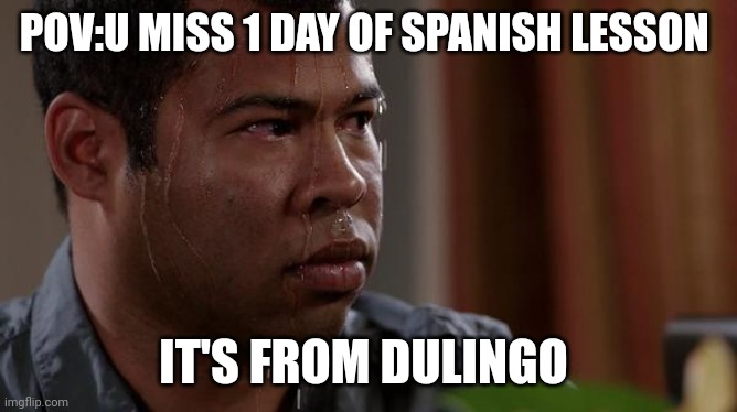 When u forget to do ur dulingo lesson | POV:U MISS 1 DAY OF SPANISH LESSON; IT'S FROM DULINGO | image tagged in sweating bullets,dulingo,spanish ore vanish | made w/ Imgflip meme maker