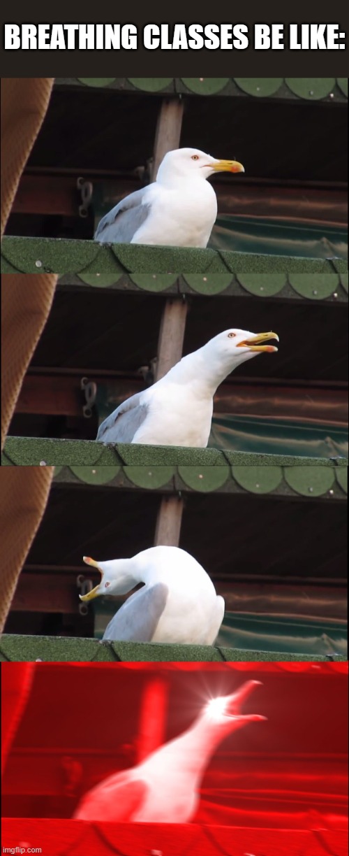 I love breathing | BREATHING CLASSES BE LIKE: | image tagged in memes,inhaling seagull | made w/ Imgflip meme maker