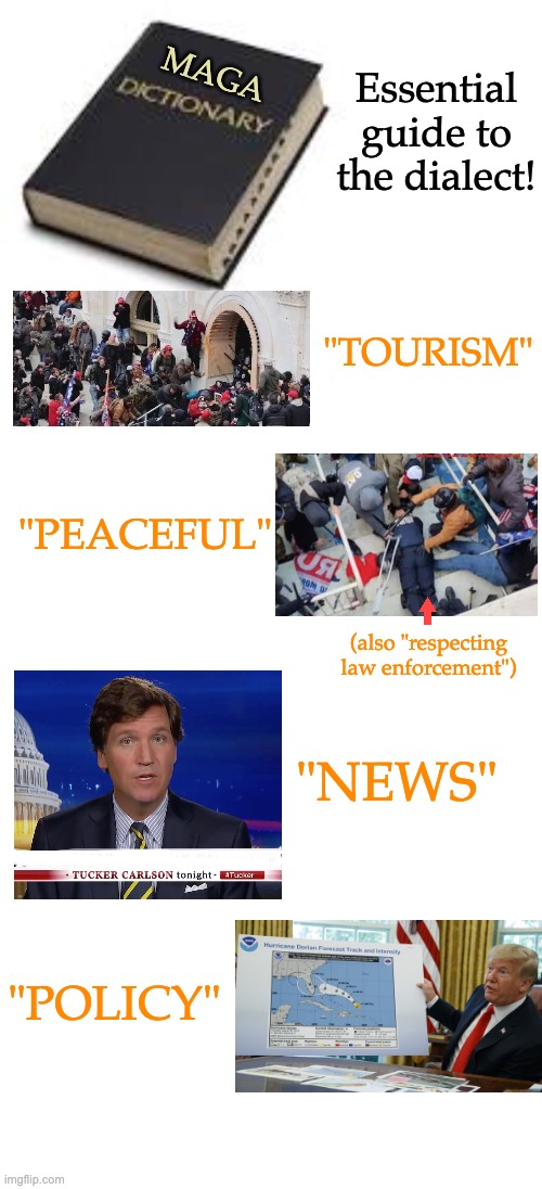 MAGA (also "respecting law enforcement") "TOURISM" "PEACEFUL" "NEWS" "POLICY" Essential guide to the dialect! | image tagged in dictionary,blank white template | made w/ Imgflip meme maker