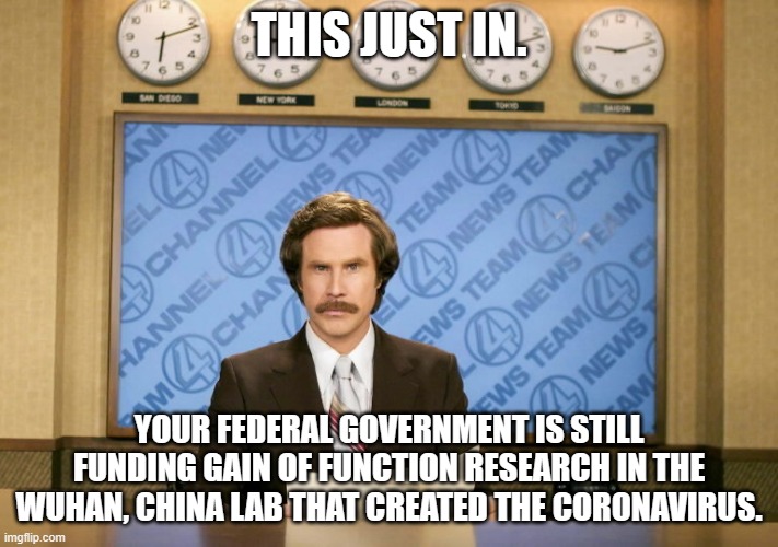 As of 6/27/23, yep, they're still doing it. | THIS JUST IN. YOUR FEDERAL GOVERNMENT IS STILL FUNDING GAIN OF FUNCTION RESEARCH IN THE WUHAN, CHINA LAB THAT CREATED THE CORONAVIRUS. | image tagged in this just in,politics,not funny,kung flu,government corruption,covid | made w/ Imgflip meme maker