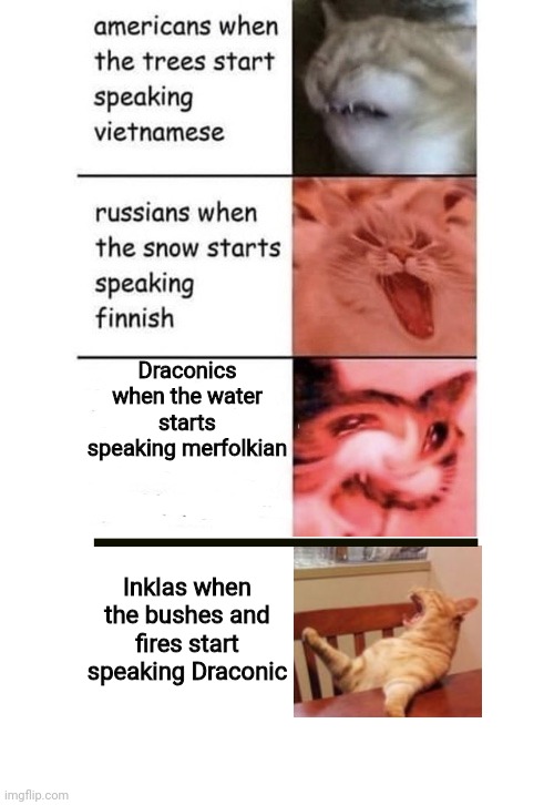 Just thought of this so I had to make it | Draconics when the water starts speaking merfolkian; Inklas when the bushes and fires start speaking Draconic | made w/ Imgflip meme maker