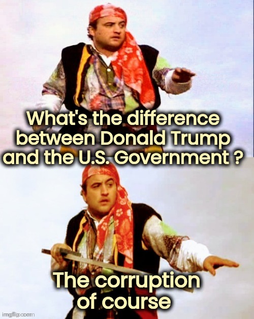 Pirate joke | What's the difference between Donald Trump and the U.S. Government ? The corruption of course | image tagged in pirate joke | made w/ Imgflip meme maker