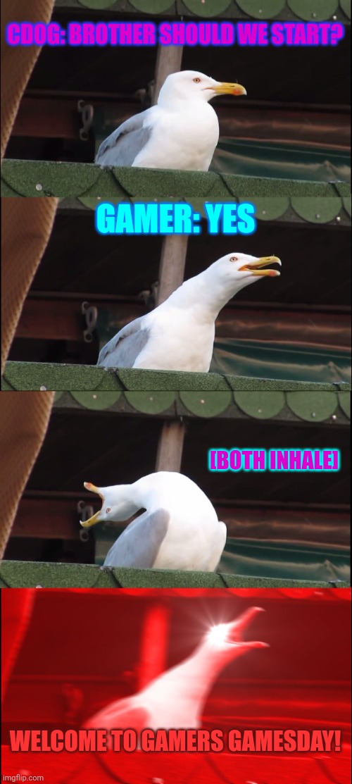 Gamer Gamesday intro in a nutshell. | CDOG: BROTHER SHOULD WE START? GAMER: YES; [BOTH INHALE]; WELCOME TO GAMERS GAMESDAY! | image tagged in memes,inhaling seagull,not funny | made w/ Imgflip meme maker