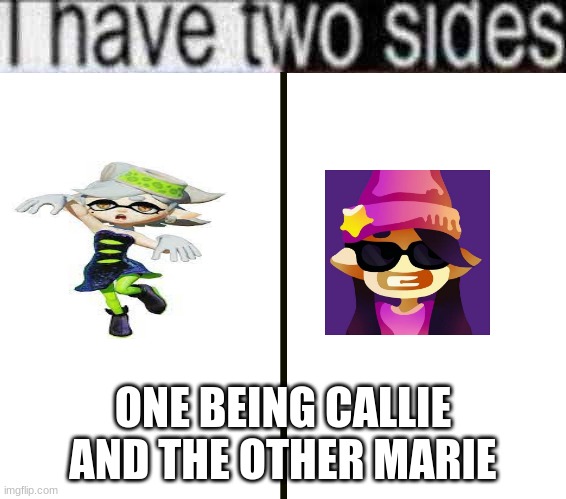 sides | ONE BEING CALLIE AND THE OTHER MARIE | image tagged in gaming | made w/ Imgflip meme maker